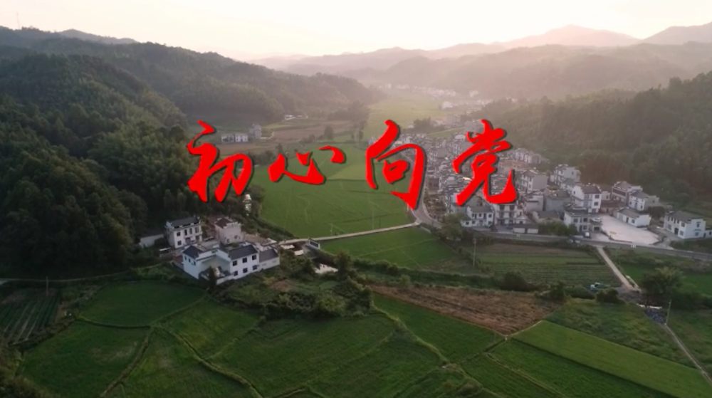 初心向党