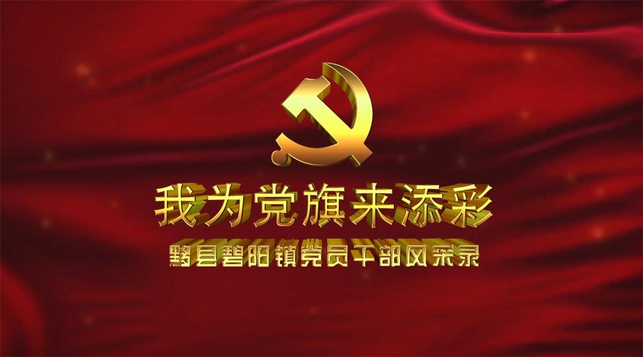 碧阳镇党委：新时代新担当新作为-我为党旗来添彩
